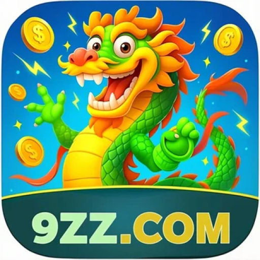 9zz.com
